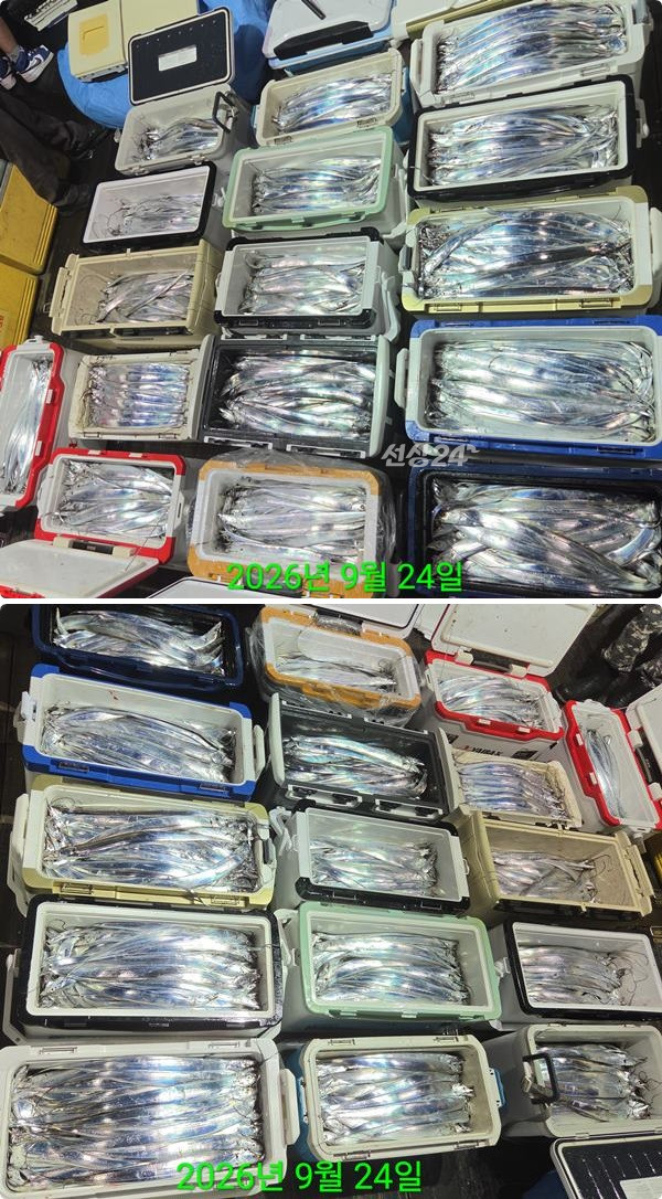 24일갈치하3.jpg