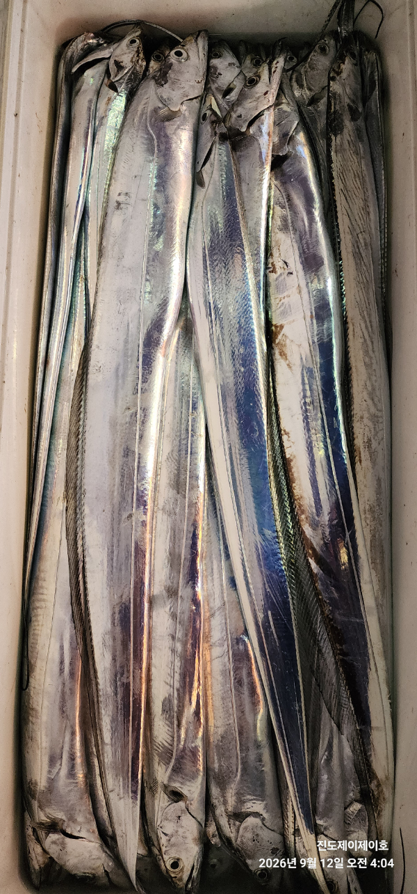 1000054849.jpg