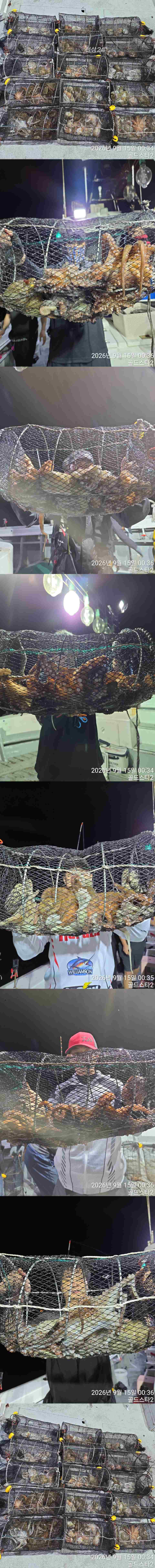 [포맷변환]s.jpg