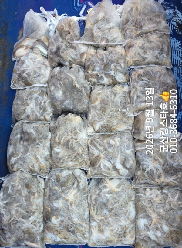KakaoTalk_20260913_171209617_03.jpg