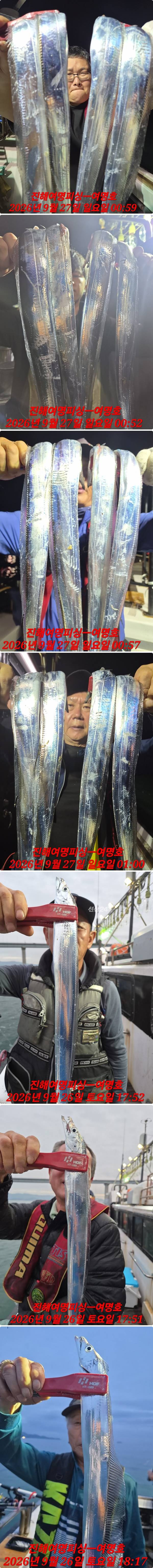 27일갈치중.jpg