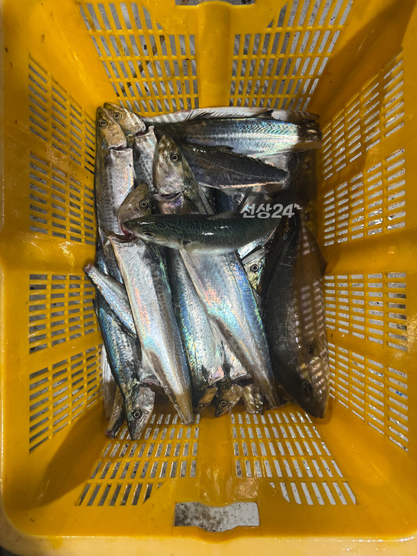 1790337417832.jpg