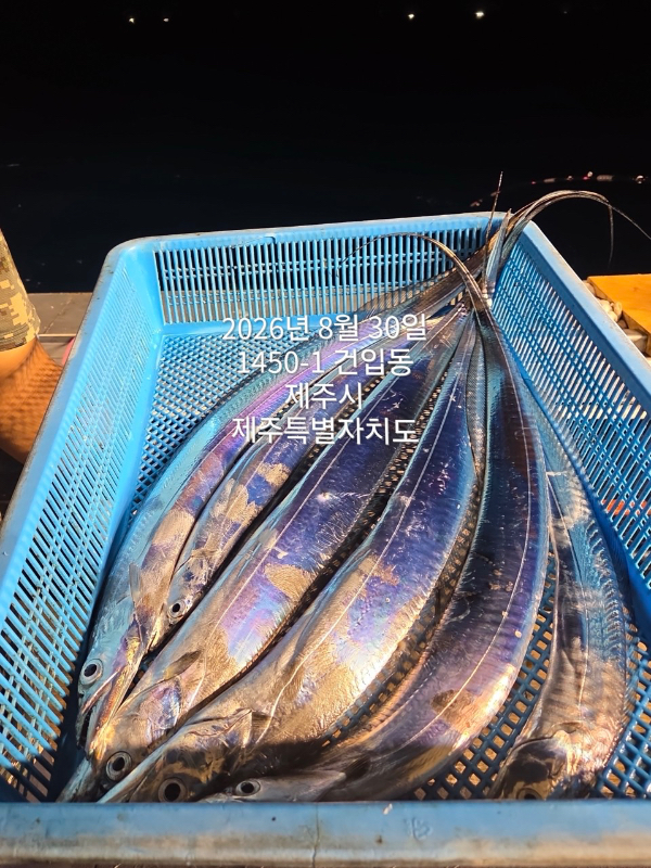 36CDD64D-663D-46AD-8D18-9C960913A931.jpeg