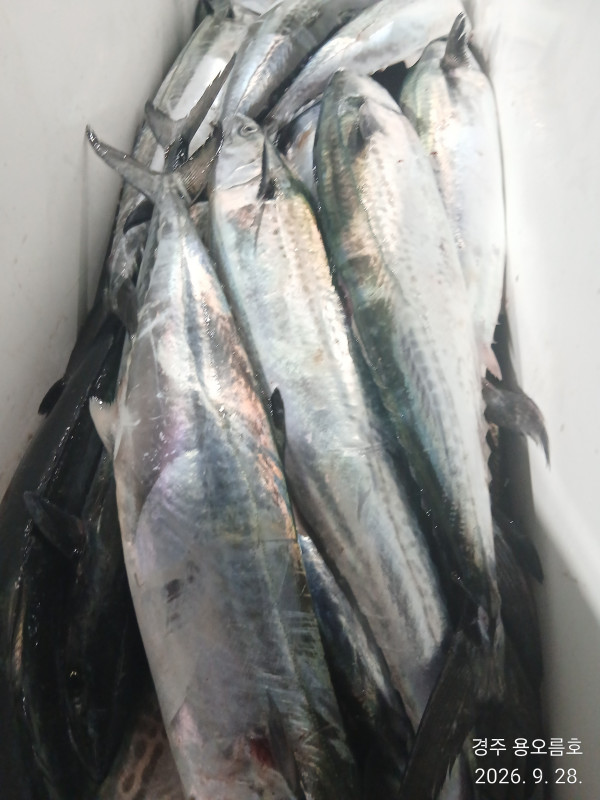 KakaoTalk_20260928_184955635.jpg