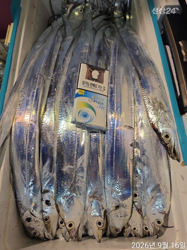 1000397564.jpg