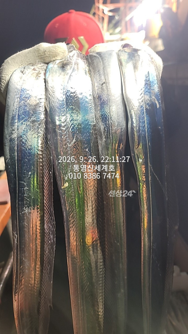 1790465168873.jpg
