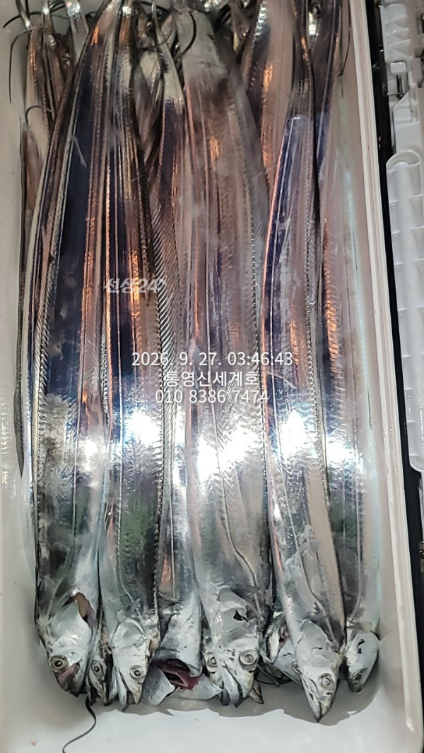 1790465168433.jpg