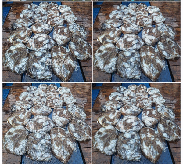 1000081588.jpg