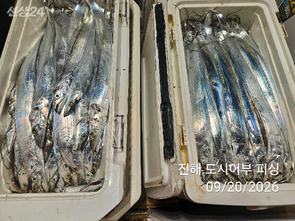 KakaoTalk_20260920_052035482_16.jpg