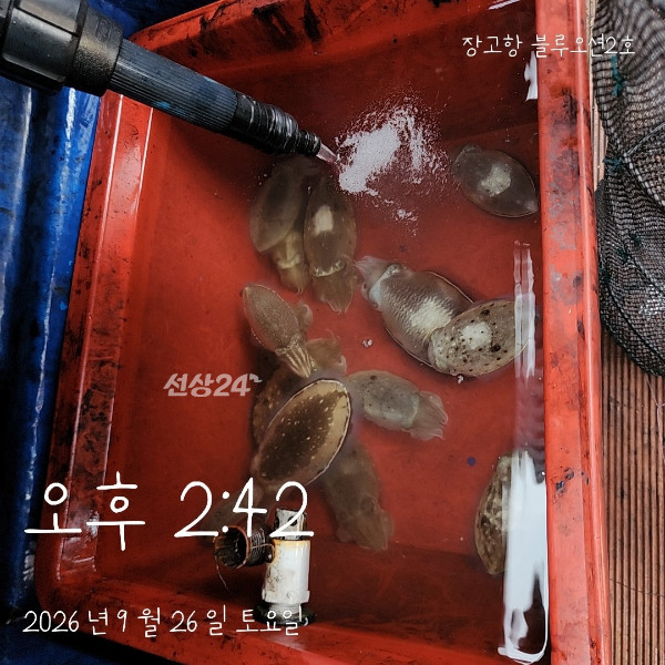 1000018090.jpg