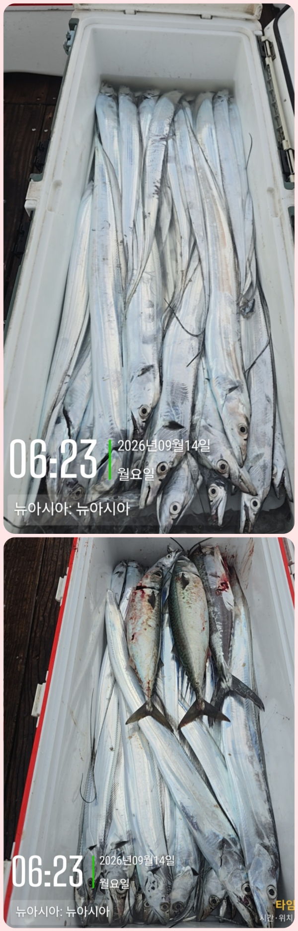 KakaoTalk_20260914_070157915_21-down.jpg