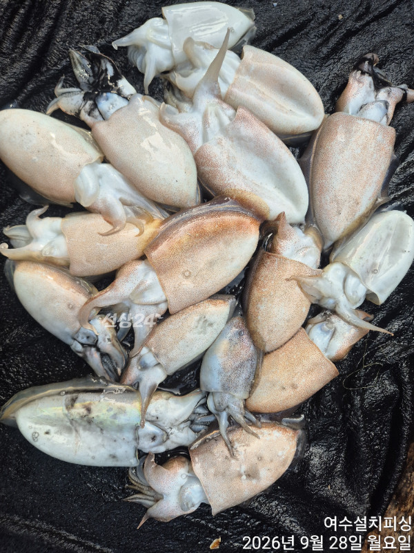 TimePhoto_20260928_150343.jpg