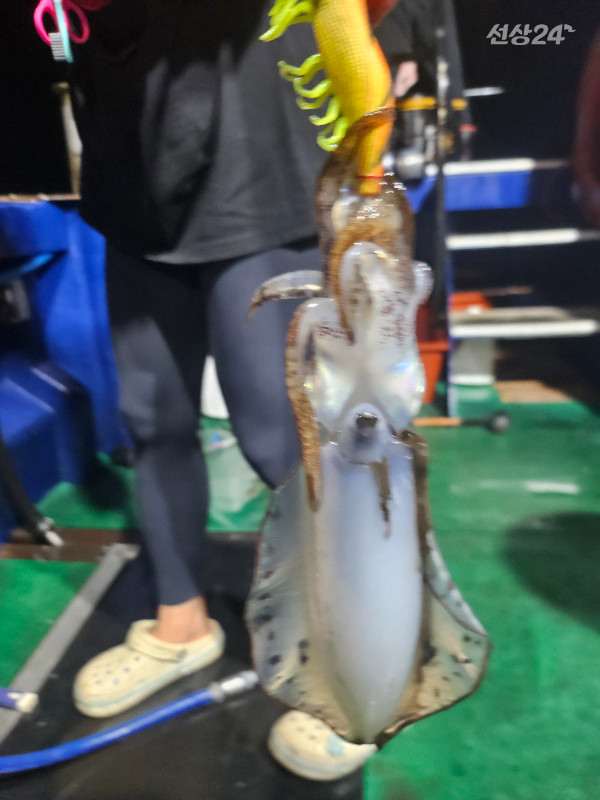 KakaoTalk_20260916_112733568_13.jpg
