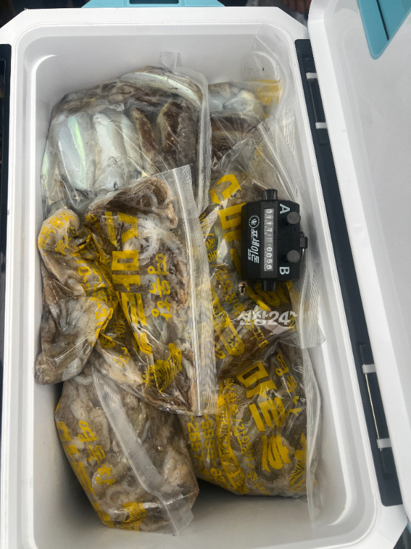 KakaoTalk_20260924_172314773_01.jpg