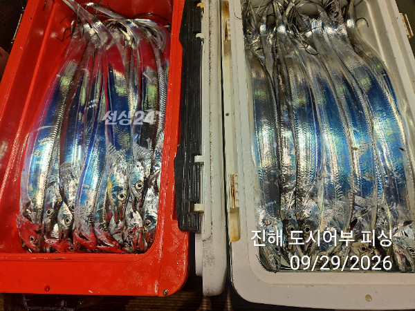 KakaoTalk_20260929_052220398_15.jpg