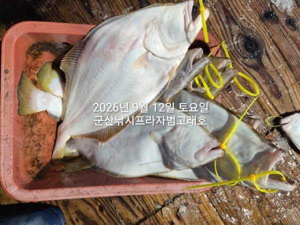KakaoTalk_20260912_145049717_03.jpg
