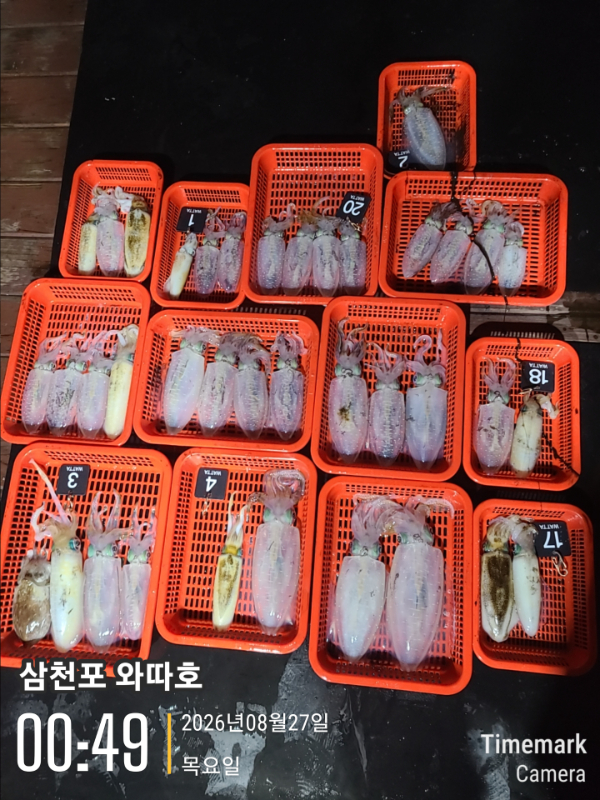 14010.jpg
