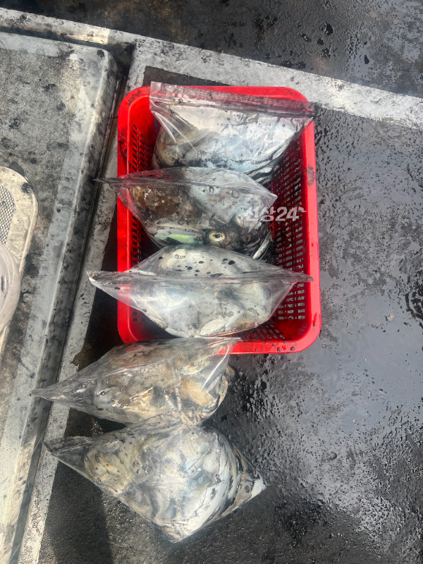 KakaoTalk_20260927_184701866_13.jpg