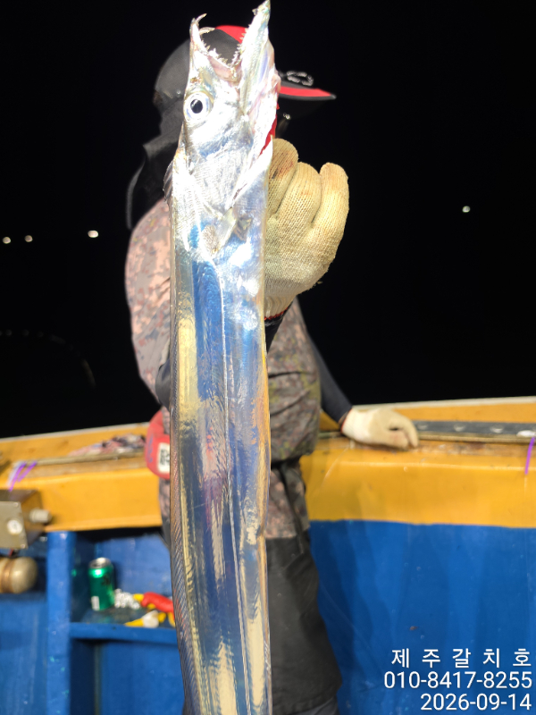 66093.jpg