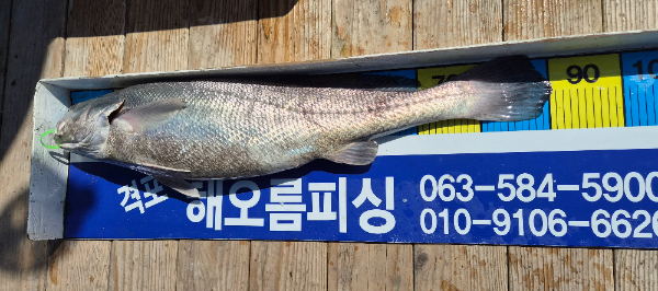 7548.jpg