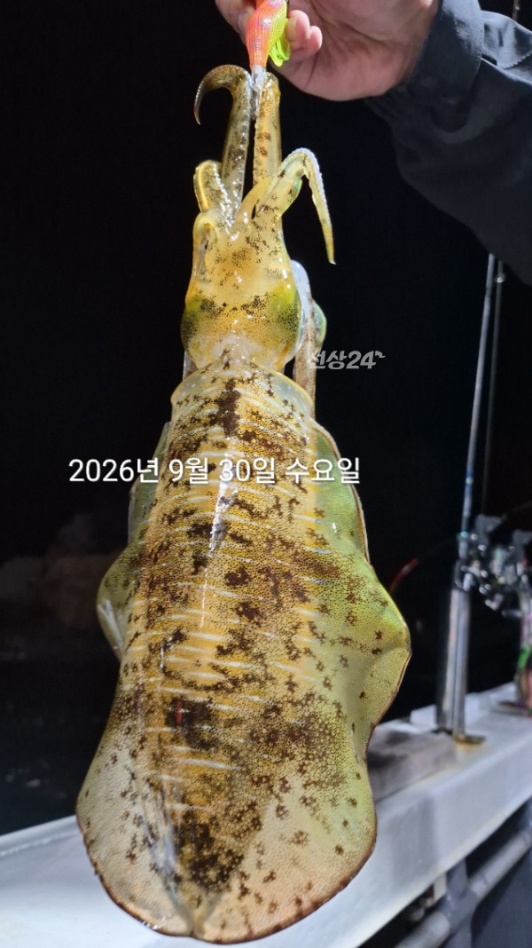 88135.jpg