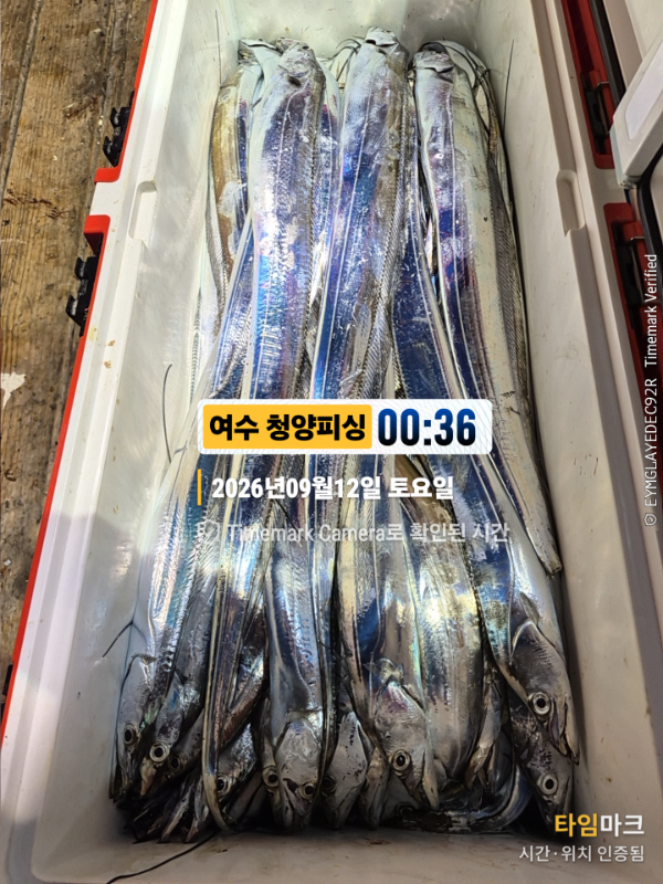 2026-09-12 00.36.12__(제목-여수 청양피싱).jpg