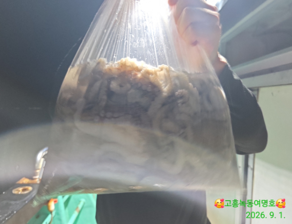 쎄븐피싱클럽(선상 버스출조전문)_사진_20260902_10.jpg