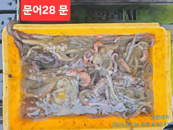 1790418115211.jpg