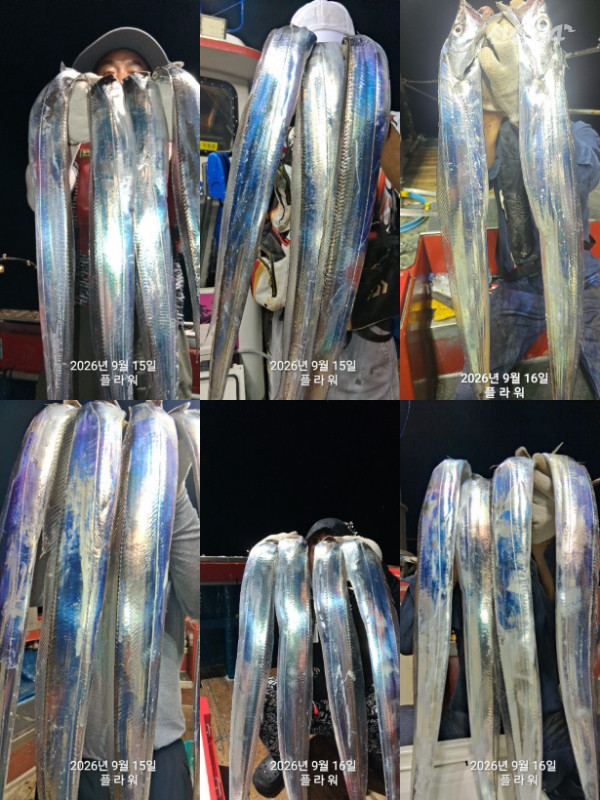 20260916_214846.jpg