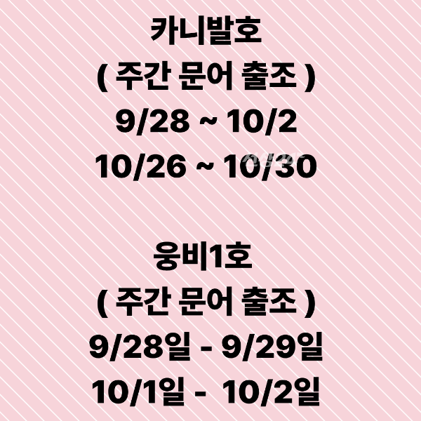 문어출조 (1).png