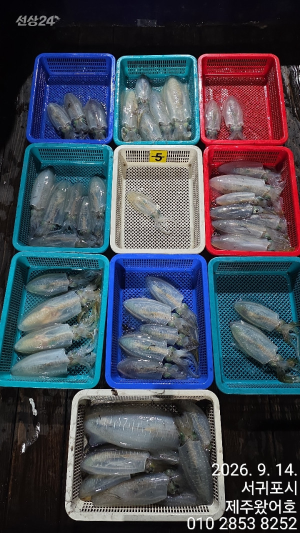 제주왔어호_사진_20260914_1.jpg