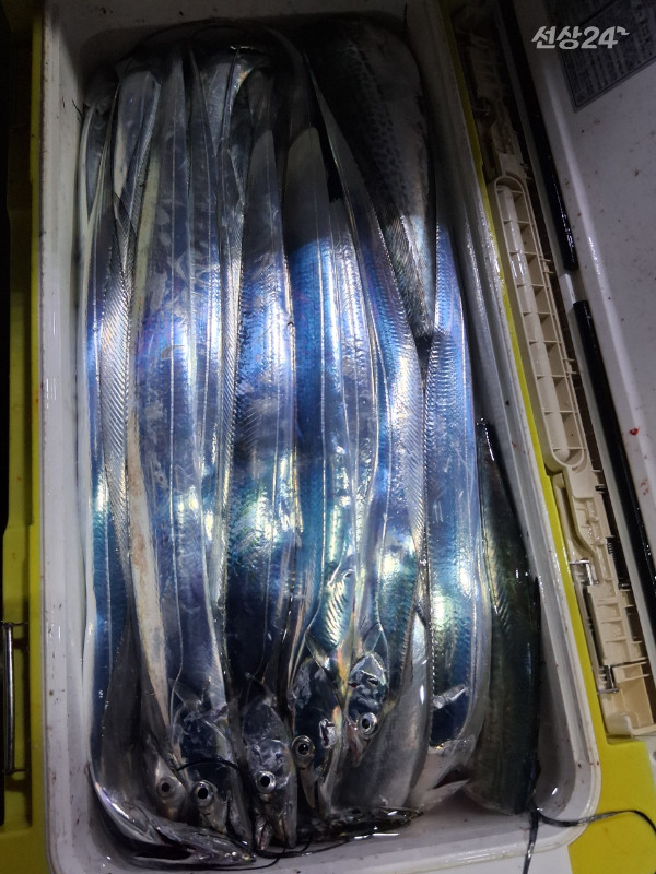 1004피싱_사진_20260920_5.jpeg