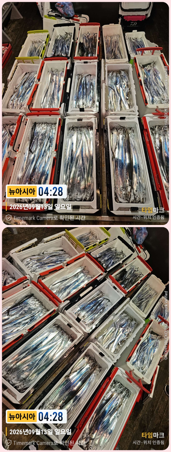 KakaoTalk_20260913_063316281_12-down.jpg