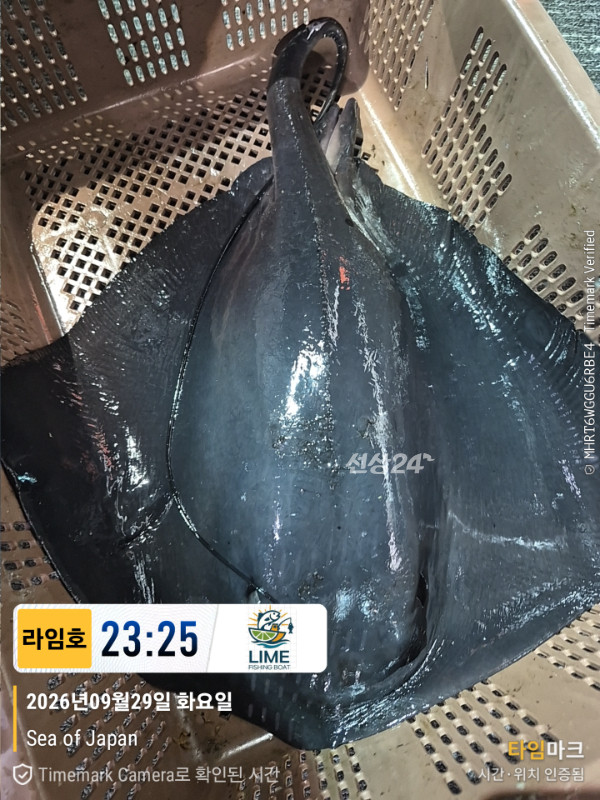 KakaoTalk_20260930_174309215_02.jpg