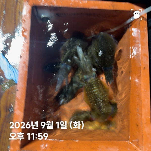 신신낚시 강구점 신신호_사진_20260902_10.jpg