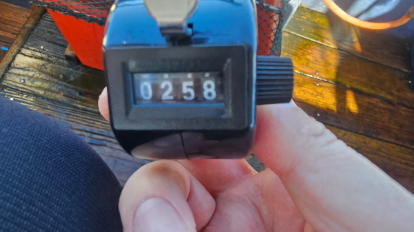 49382.jpg