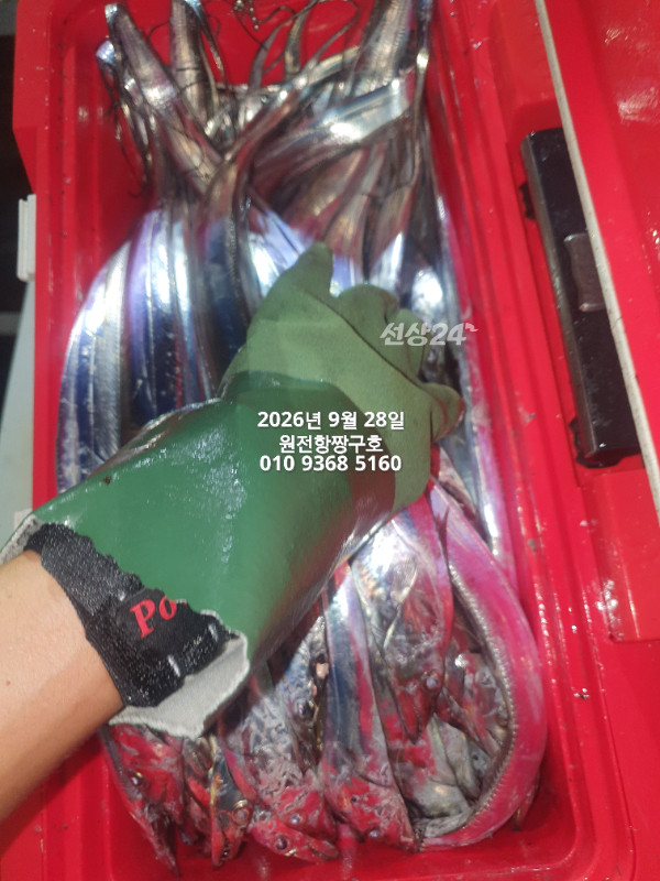 KakaoTalk_20260928_022330431_05.jpg
