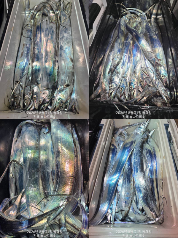 낱2.jpg