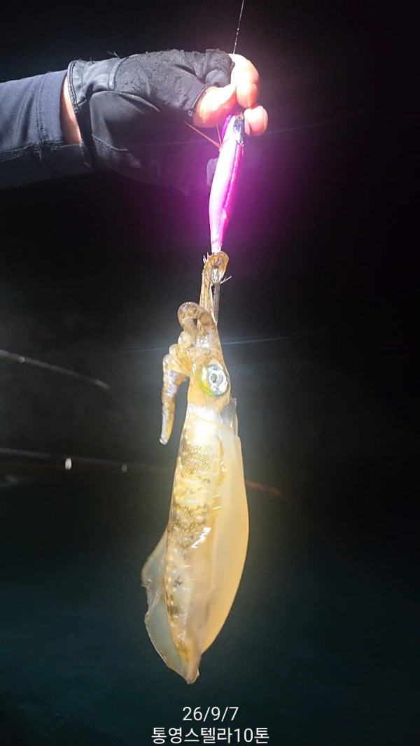 TimeVideo_20260907_224053.jpg