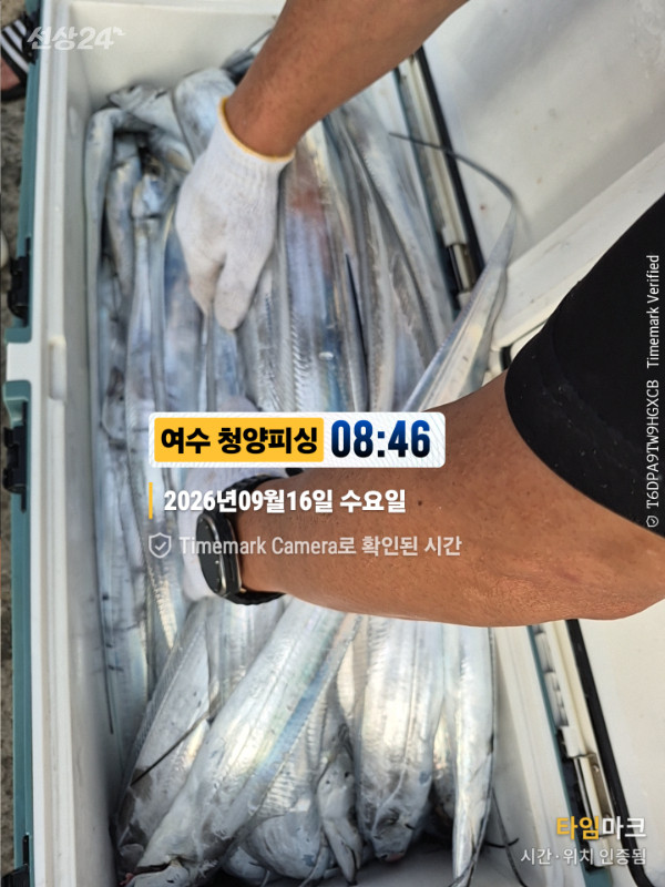 2026-09-16 08.46.03__(제목-여수 청양피싱).jpg
