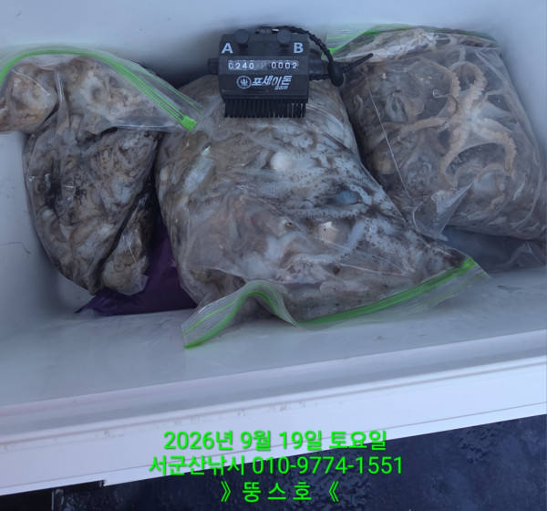 군산 선상낚시, 바다낚시 출조 전문 ☆서군산낚시☆_사진_20260919_3.jpg