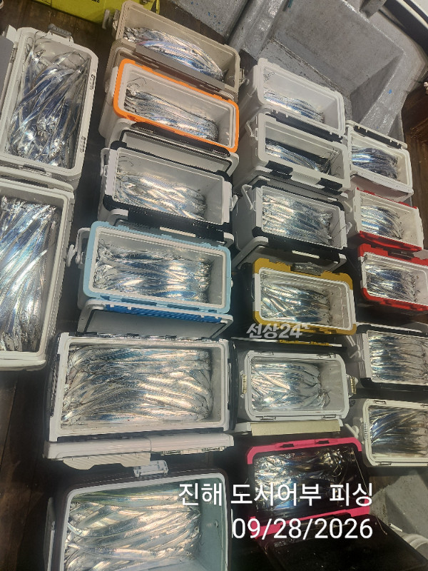 KakaoTalk_20260928_054654622_07.jpg
