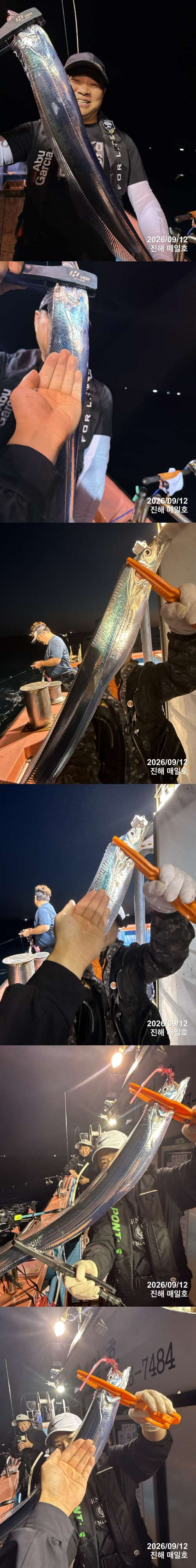 갈치1.jpg