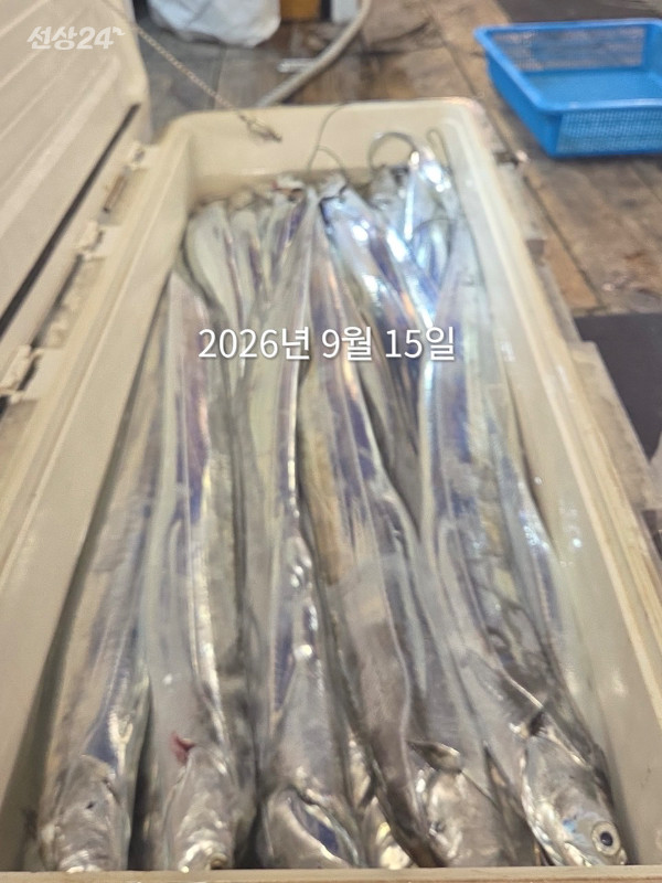 6FA954C7-86AB-462B-8CD0-9A26BDED1871.jpeg
