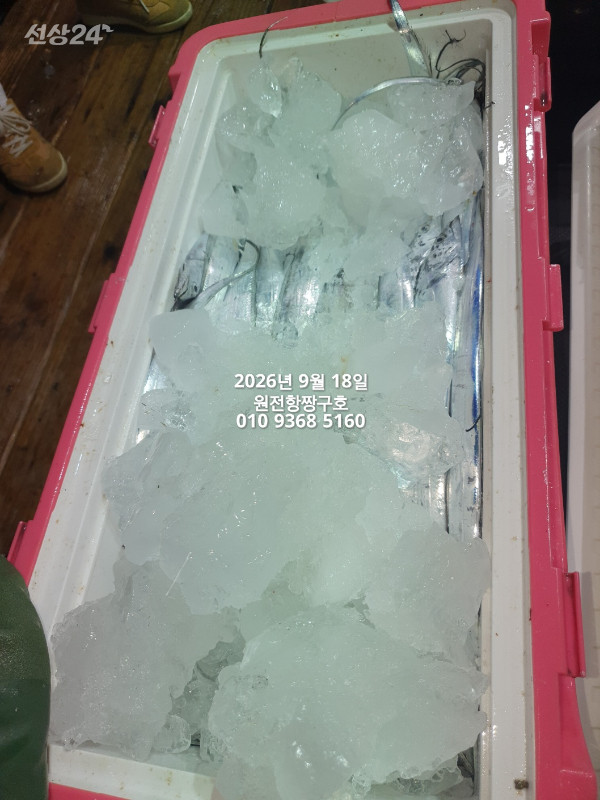 KakaoTalk_20260918_051131953_05.jpg