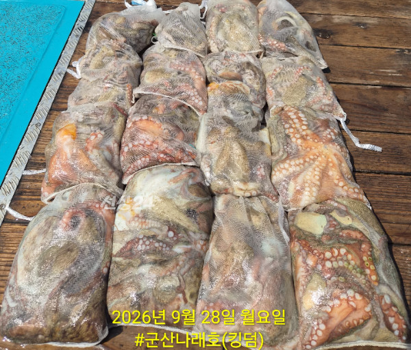 KakaoTalk_20260928_135244699_02.jpg