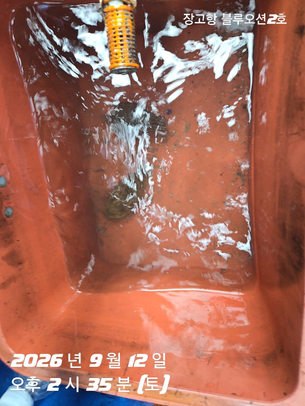 1000017393.jpg