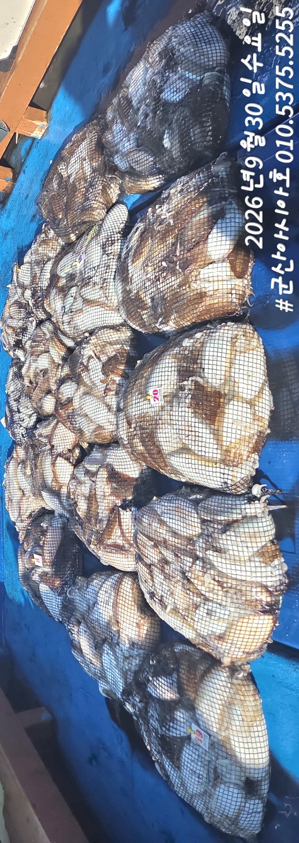 1790754178288.jpg