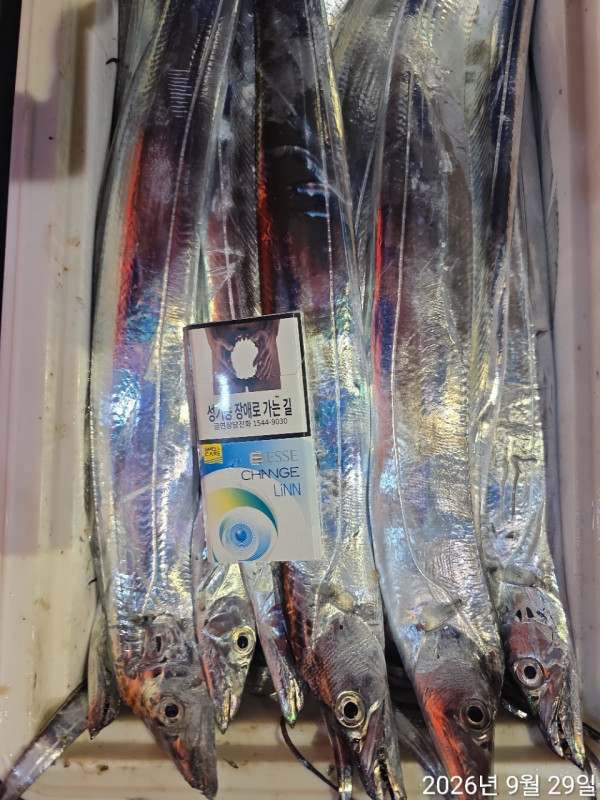 1000402103.jpg
