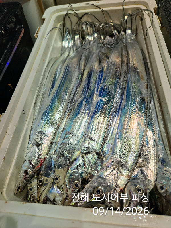 KakaoTalk_20260914_045414421_19.jpg